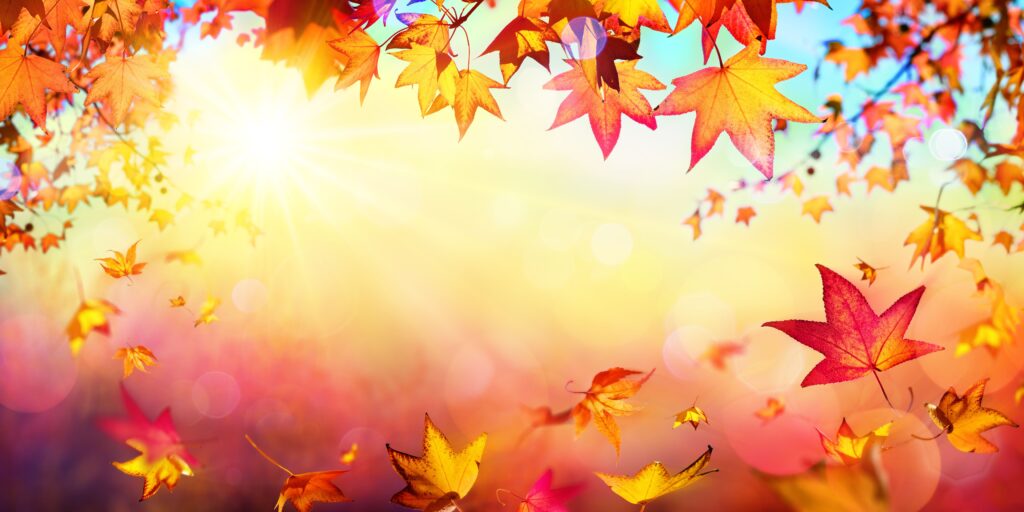 Hello Autumn